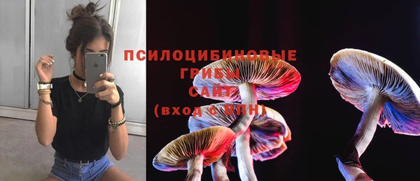 mix Ладушкин