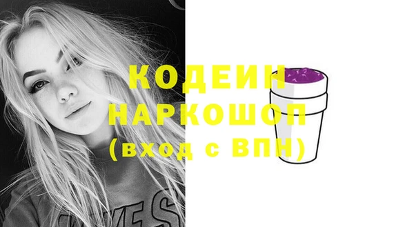 прущие грибы Лабытнанги