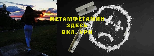 прущие грибы Лабытнанги