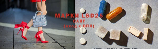 прущие грибы Лабытнанги