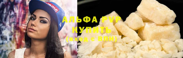 прущие грибы Лабытнанги