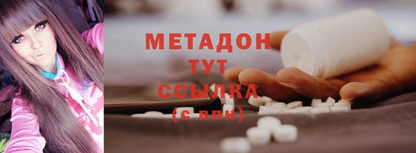 прущие грибы Лабытнанги