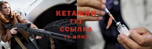 прущие грибы Лабытнанги