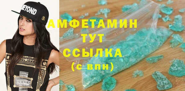 прущие грибы Лабытнанги
