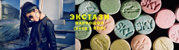 прущие грибы Лабытнанги