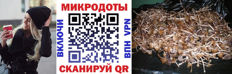 Галлюциногенные грибы мицелий  Купить где  Игра 